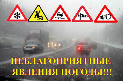 ���� ������������ ������ �����������: