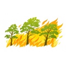 ������� � ������������ ��� ������ ������