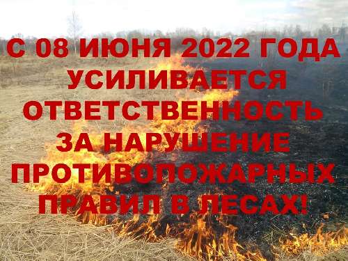���� ������������ ������ �����������: � 08 ���� 2022 ���� ����������� ��������������� �� ��������� ��������������� ������ � �����