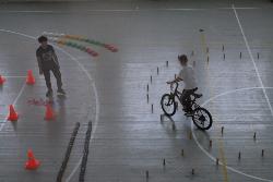 ���������� ������ 2017