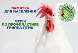 ������� ��� ��������� ����� �� ������������ ������ ���ֻ