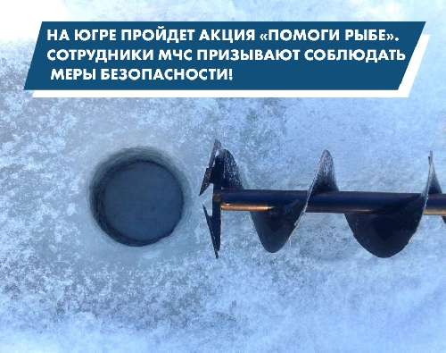 � ���� 20 ����� ������� ������������ ��������� ������� ����