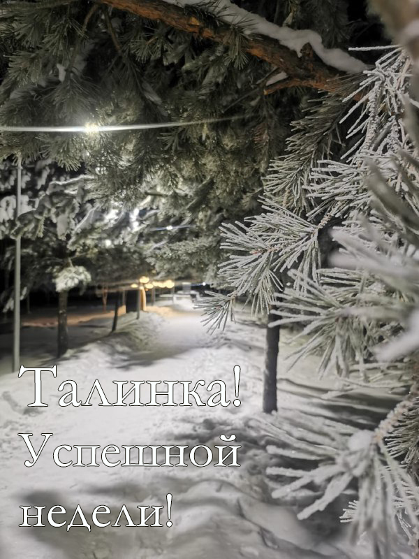 11.12.jpg