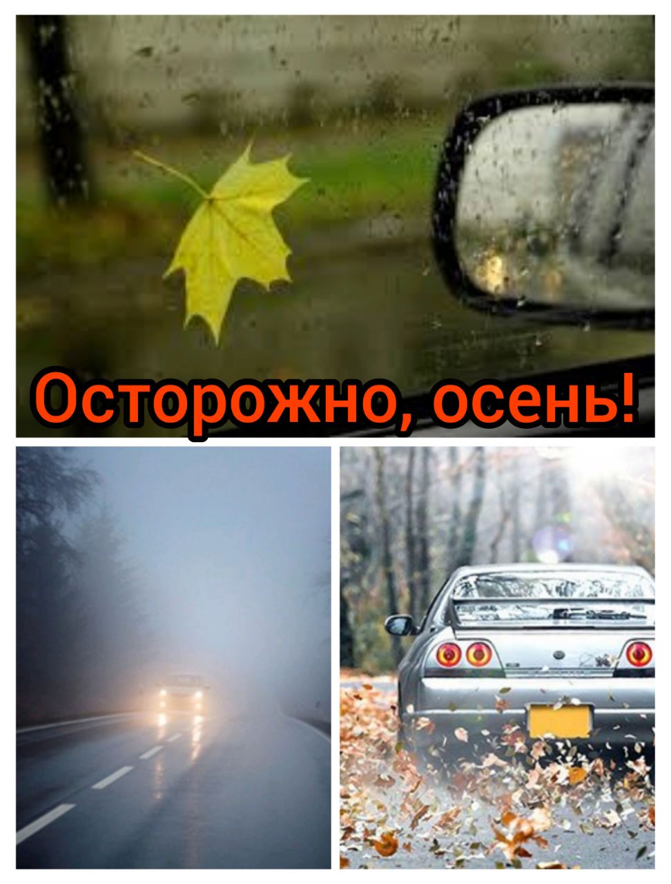 UVIK_47327.jpg