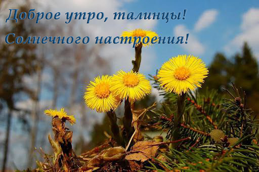 20.05.20241.jpg