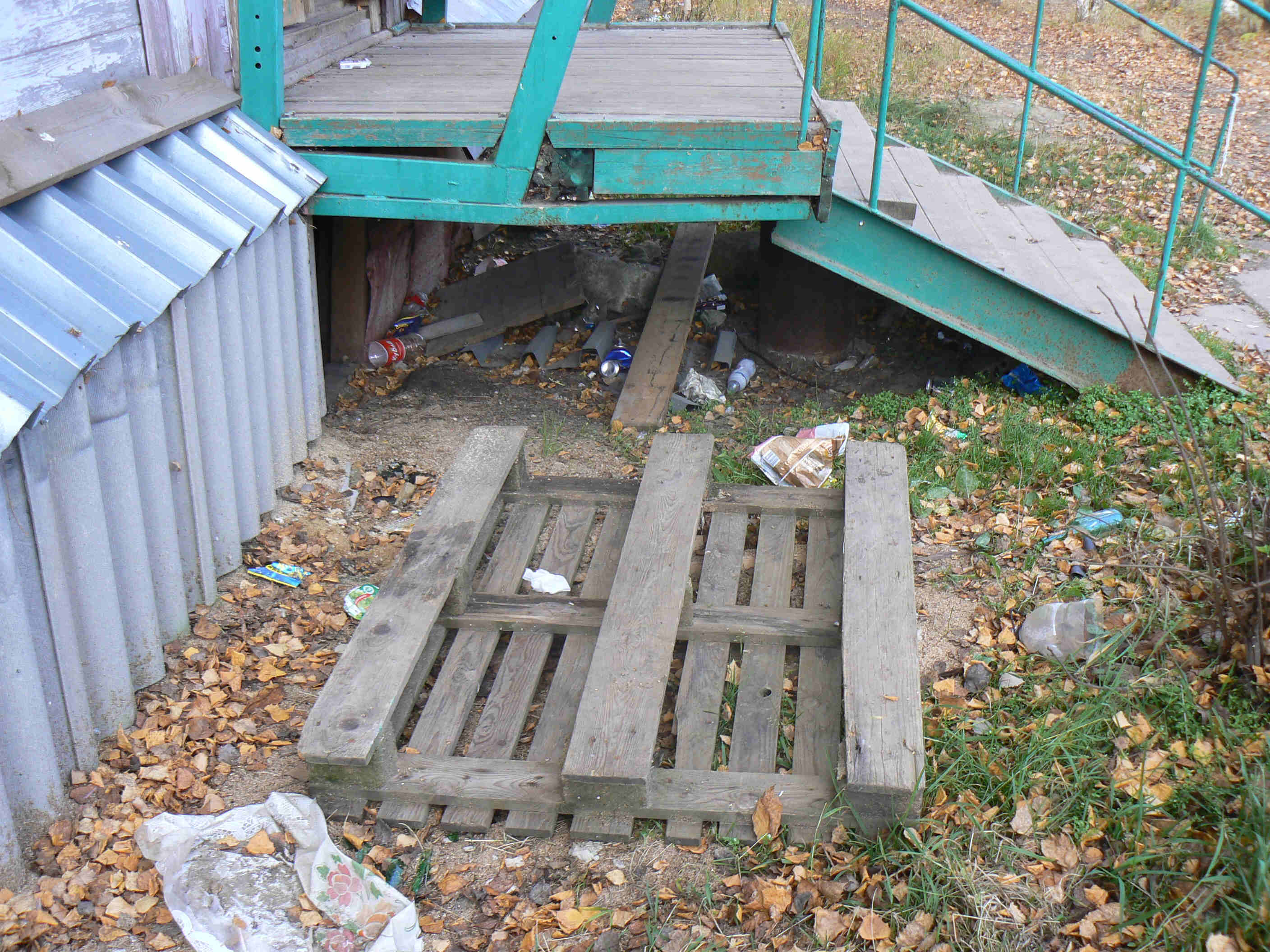 P1170532.JPG