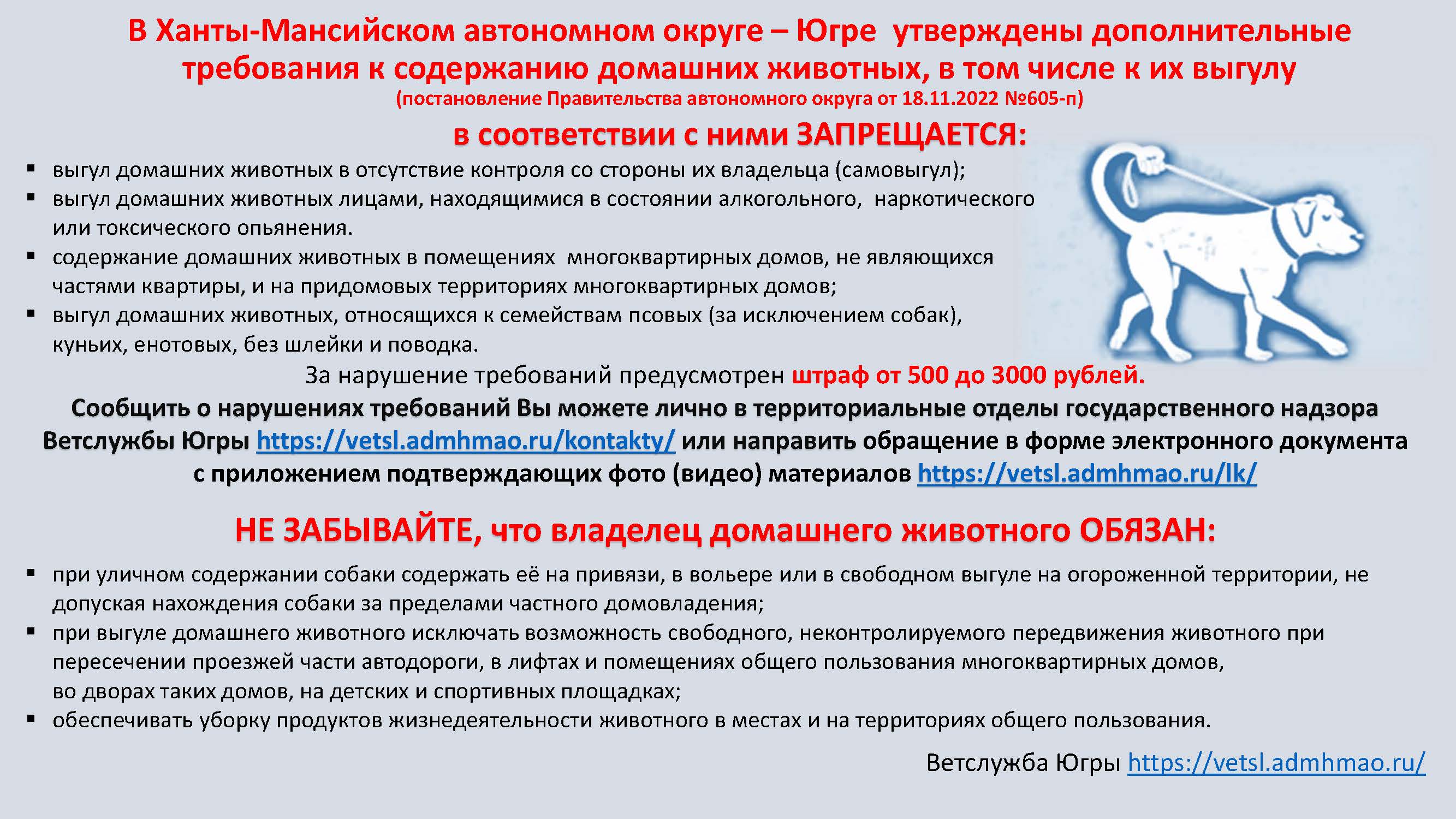 UVIK_37414.jpg