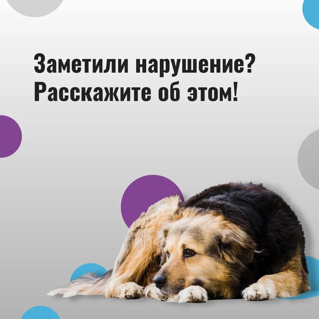 11.jpg 11.jpg