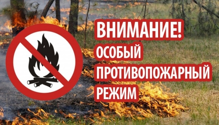 eshche-v-treh-municipalnyh-obrazovaniyah-priamurya-vveden-osobyy-protivopozharnyy-rezhim_1616654797890570959__800x800.jpg