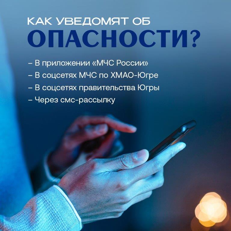 5415910862578908991.jpg