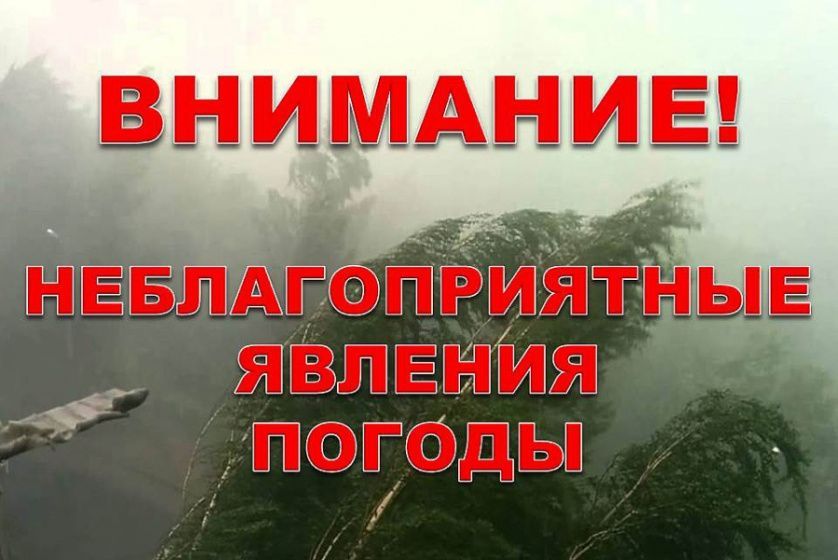 hnwafvv273egwtbyifvdnpxwqkicaqa9.jpg hnwafvv273egwtbyifvdnpxwqkicaqa9.jpg