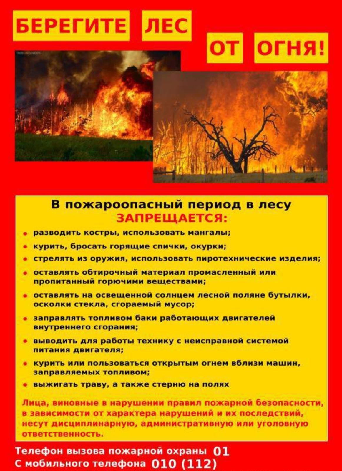 Od2Wx69PnY8.jpg
